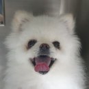 배꼽누리 이미지