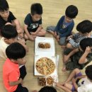 용인대한겨레태권도 이미지