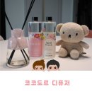 리필테라피 | [디퓨저 추천] 코코도르 대용량 리필액 내돈내산 후기! 양재동꽃시장&에이프럴프레시