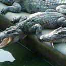 상금농장 이미지