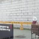 (합)삼일여행사