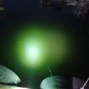 금진항 화장실 이미지