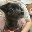 만세동물병원 이미지