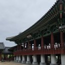 0423 울산행(1), 십리대숲과 태화루 이미지