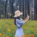 더블라썸플라워샵 이미지