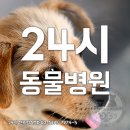 다가온 동물병원 이미지