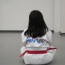 하늘찬태권도장 | 풍호하늘찬태권도: 아이들이 즐거움과 함께 배우는 태권도