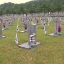 (주)엔디엔뉴스 | 정봉식이 전하는 고양소식 '봉고뉴스' (23.06.06)