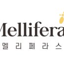페라스 - 창원시 성산구 신촌동 | 페라스
