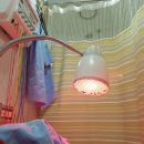 바른몸채담한의원 이미지