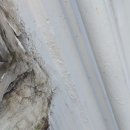 우신그린피아 이미지