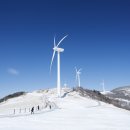 하늘목장 이미지