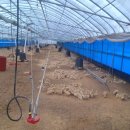 분동농장 이미지