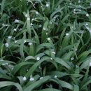 진양호식육식당 이미지