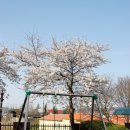 호야수제도시락 이미지