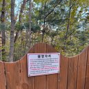 문 스테이 | 사계절 내내 만족스러운 가평 &#39;블루문&#39;캠핑장 | 세 번째 방문 스테이 존 후기