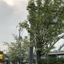 공임나라 김천모암점 이미지