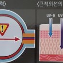 굿채널안경 이미지