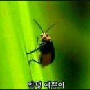 광주엔진 이미지