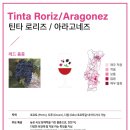 아라고 이미지