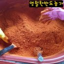영월한반도농장 네이버블로그