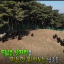 충남농원염소 이미지