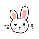 동이보쌈 이미지