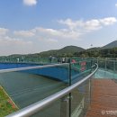 아라마루 이미지