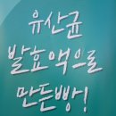 로뎀베이커리 이미지