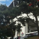 수원종합운동장 주경기장 GATE H | 2] SSG랜더스 vs KT위즈 KT위즈파크 외야잔디자유석 관람후기(문화의 날 할인방법, 잔디석 시야, 먹거리)