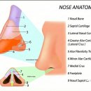 (주)케이스코 | 코수술 흉살 치료 코 흉살주사 효과가 별로였다면(후기 체크)