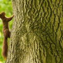 연세제일안과의원 이미지