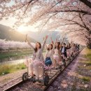 💖3월21일 토요일 12시30분💖 김유정역💖 레일바이크타러 💖소풍가요~~@^^@💖 이미지