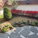 땅콩축산 이미지