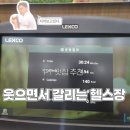 진짜 헬스장 | 수원 곡반정동 헬스장 PT 어센틱짐 후기｜자세교정 받다가 진짜 갈렸다