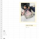 효도여행 마지막 일정 |방비엥 비엔티안| 인티라호텔 후기