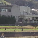 시코쿠(四國)섬의 다까마쓰(高松)를 가다(15)......나까노우동학교(中野うどん学校)에서 사누끼 우동을 만들어 먹다. 이미지