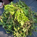 금복 펜션 이미지