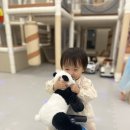 키즈펀펀 실내놀이터 이미지