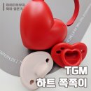 티지엠 이미지
