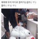 신매 이미지