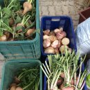 주빈농장 이미지