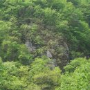 강물소리식당 이미지