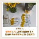 C-SKIN | 웰케어 S/C 강아지영양제 후기 | 항산화·피부모질개선·장 건강까지 한 번에 관리