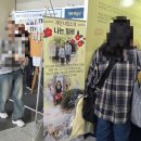 국제금속 | 2026 서울국제불교박람회 후기🎐🔔 사람 너무 많아서 놀람 (+아이주의)