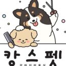 캉스펫 이미지