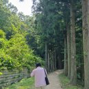 보성아이스크림 이미지