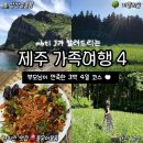 김포농협 체력단련장 | [DAY4] 딸이 계획하고 부모님이 만족한 제주도 3박 4일 여행 (성산일출봉, 순덕이네, 성읍민속마을...