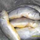 설봉숯불구이 이미지