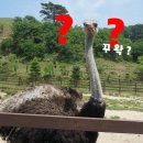 소연목장 이미지